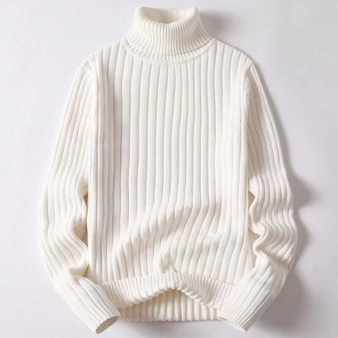 Pull à col roulé pour homme | Coupe régulière | Idéal pour l’automne et l’hiver