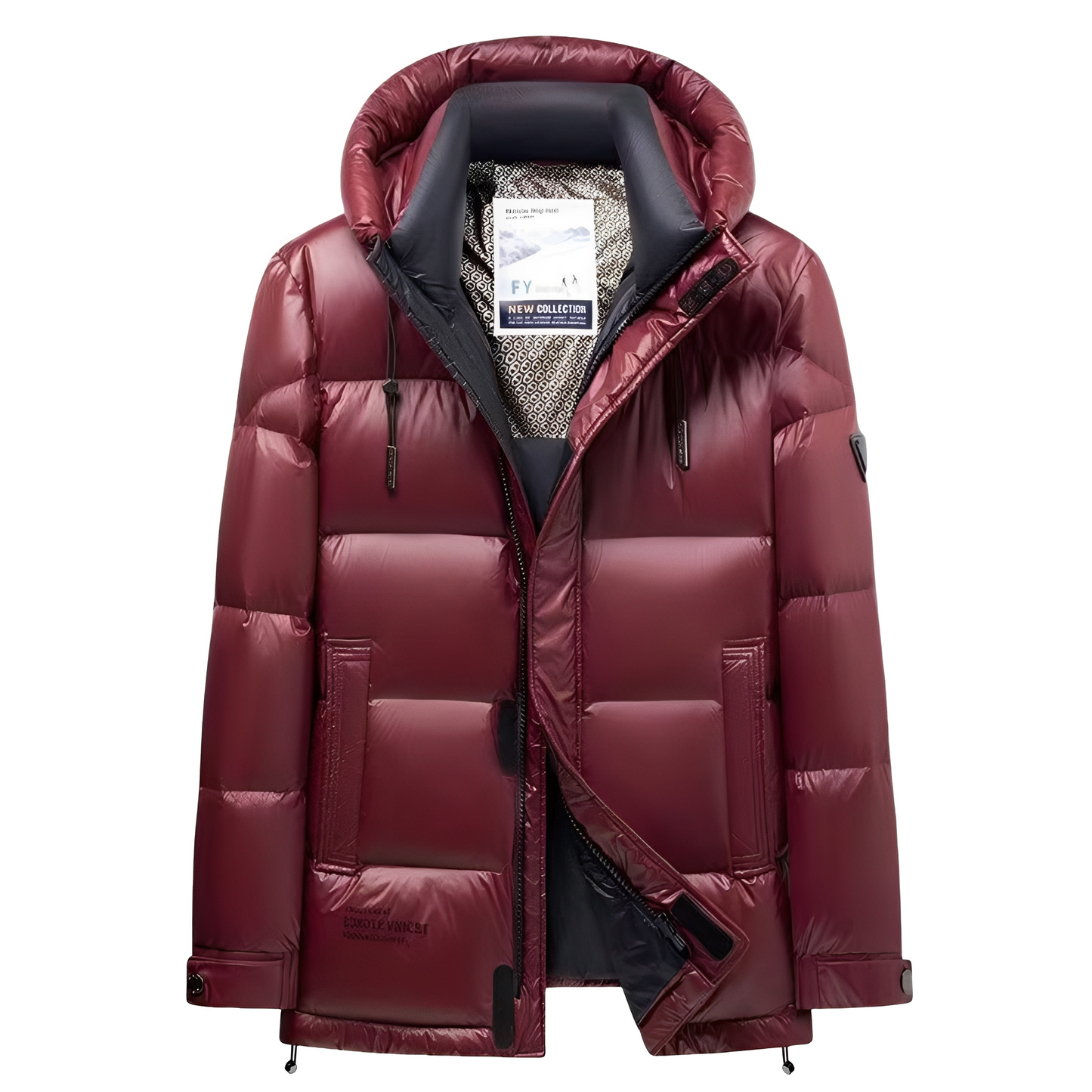 Doudoune avec Capuche et Coupe Standard pour Homme | Idéale pour Hiver