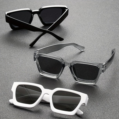 Lunettes De Soleil Pour Adultes Avec Verres Teintés | Idéales Pour Activités Extérieures