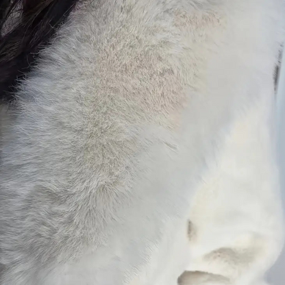 Manteau D’Hiver avec Capuche Ajustable pour Femme | Idéal pour Les Journées Froides