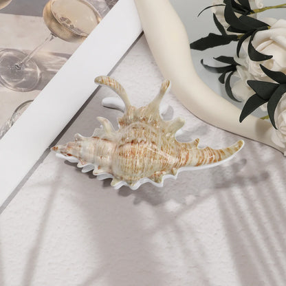 Pince À Cheveux Avec Design Inspiré D’Un Coquillage Pour Femmes | Idéale Pour Les Coiffures D’Été