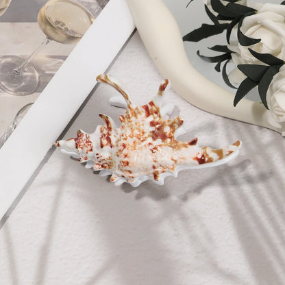 Pince À Cheveux Avec Design Inspiré D’Un Coquillage Pour Femmes | Idéale Pour Les Coiffures D’Été