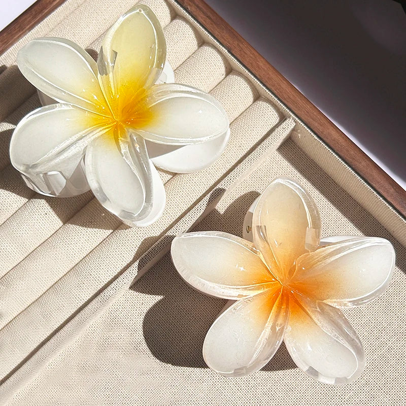 Pince À Cheveux Avec Motif Floral Dégradé Pour Femmes | Idéale Pour Les Coiffures D’Été