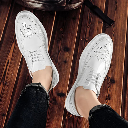 Chaussures derby avec décor brogue pour hommes | Idéal pour les occasions habillées et les sorties décontractées