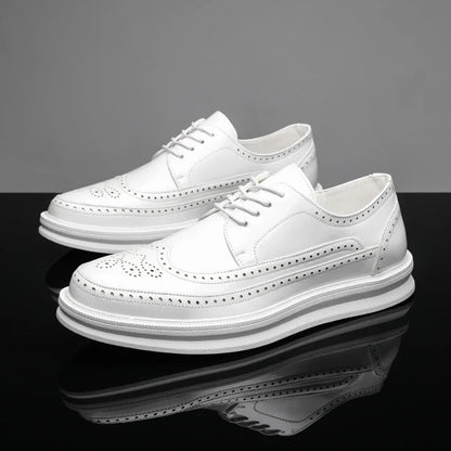 Chaussures derby avec décor brogue pour hommes | Idéal pour les occasions habillées et les sorties décontractées