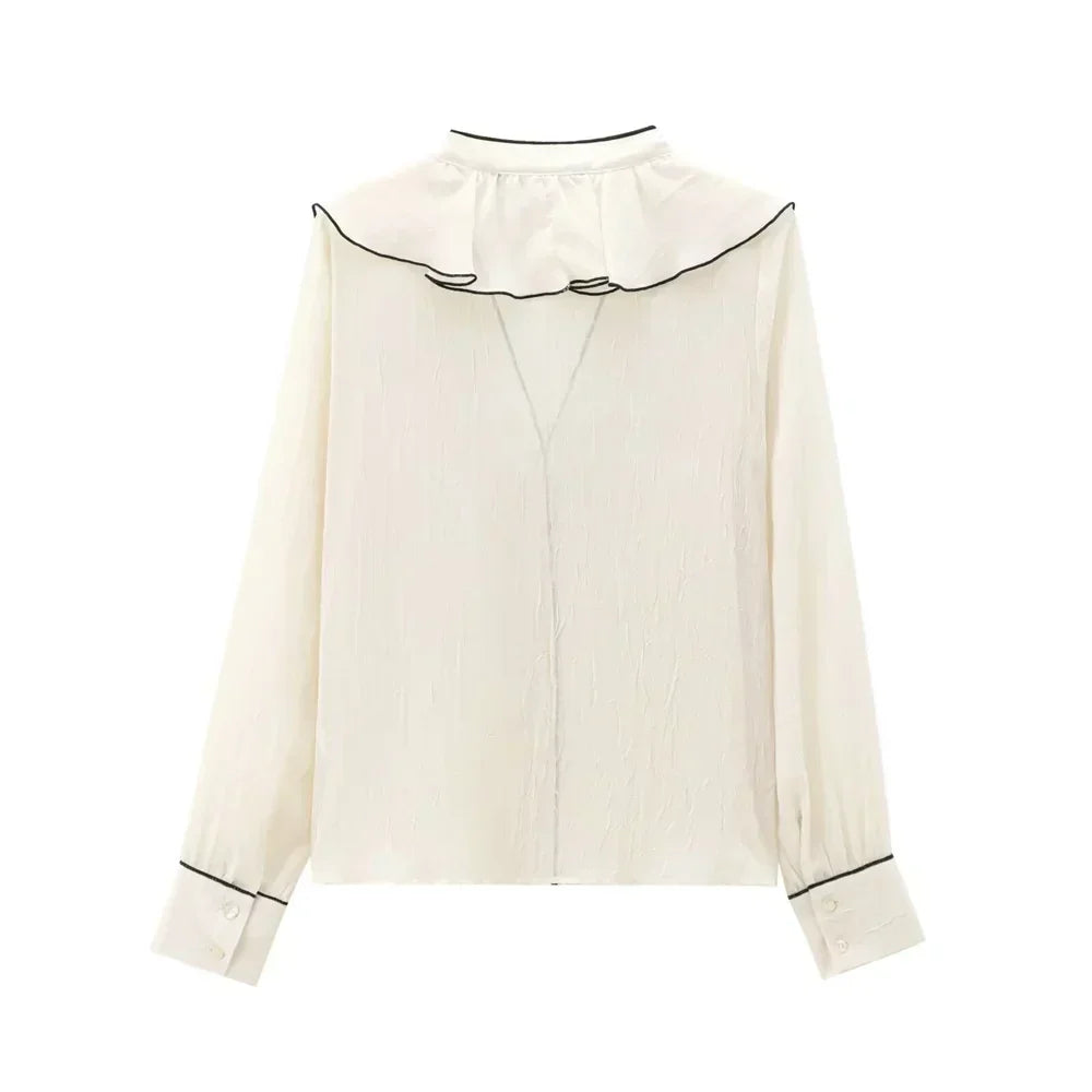 Blouse À Manches Longues Avec Coupe Ajustée Pour Femme | Idéale Pour Usage Quotidien Et Professionnel