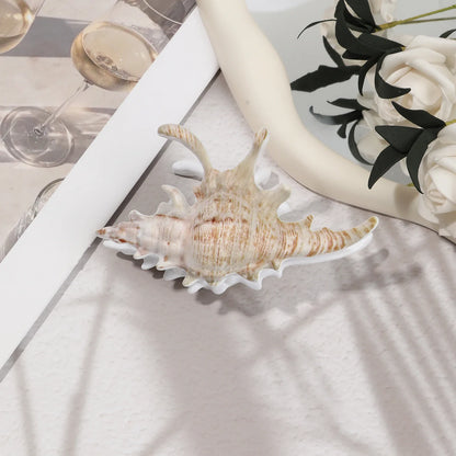 Pince À Cheveux Avec Design Inspiré D’Un Coquillage Pour Femmes | Idéale Pour Les Coiffures D’Été