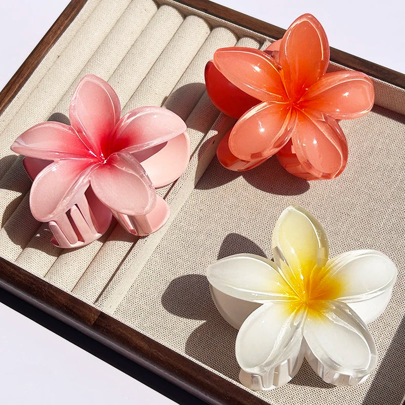 Pince À Cheveux Avec Motif Floral Dégradé Pour Femmes | Idéale Pour Les Coiffures D’Été