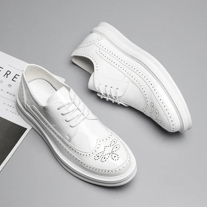 Chaussures derby avec décor brogue pour hommes | Idéal pour les occasions habillées et les sorties décontractées