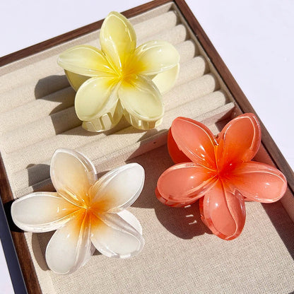 Pince À Cheveux Avec Motif Floral Dégradé Pour Femmes | Idéale Pour Les Coiffures D’Été