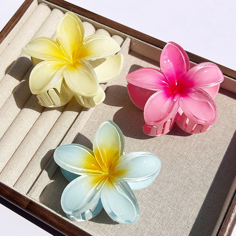 Pince À Cheveux Avec Motif Floral Dégradé Pour Femmes | Idéale Pour Les Coiffures D’Été