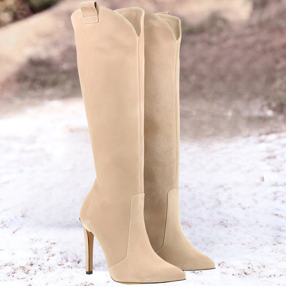 Bottes À Talon Stabilisé Pour Femmes | Idéal Pour Automne Et Hiver