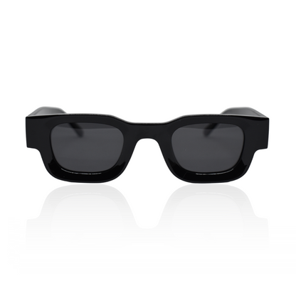 Lunettes De Soleil Pour Adultes Avec Verres Teintés | Idéales Pour Activités Extérieures